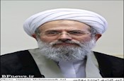 دیدار پژوهشگران مهدویت با آیت الله ری شهری