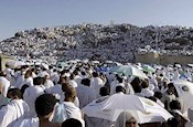 معرفت‌جویی یک مالزیایی در عرفات