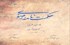 گزیده «حکمت‌نامه رضوی»، مناظره‌های امام رضا(ع) با عالمان ادیان ترجمه می شود