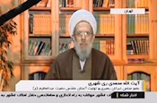 آیت‌الله هاشمی با تمام احساس و ذرات وجودی‌اش به نظام و ولایت‌فقیه علاقه داشتند .