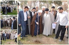 حرکت قوی‌تری در جامعه برای درختکاری نیاز است