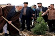 تاکید آیت الله ری شهری بر توسعه فضای سبز