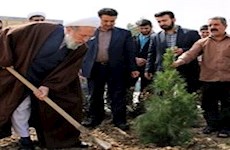 تاکید آیت الله ری شهری بر توسعه فضای سبز