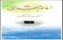 امام مهدی(ع) از نگاه حدیث ثقلین
