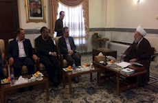 استاندار تهران با آیت الله محمدی ری شهری دیدار کرد