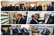 دیدار تولیت حرم حضرت زینب(س) وهیئت همراه با آیت الله محمدی ری شهری