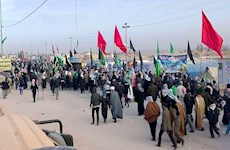 نماینده ویژه پیگیری امور موکب آستان مقدس در مسیر پیاده روی اربعین در مسیر نجف به کربلا تعیین شد