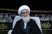 آیت الله العظمی نوری همدانی، درگذشت آیت الله محمدی ری شهری را تسلیت گفت