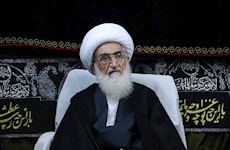 آیت الله العظمی نوری همدانی، درگذشت آیت الله محمدی ری شهری را تسلیت گفت