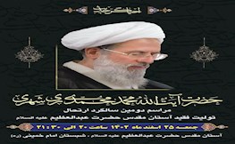 برگزاری مراسم دومین سالگرد ارتحال آیت الله محمد محمدی ری شهری(ره)